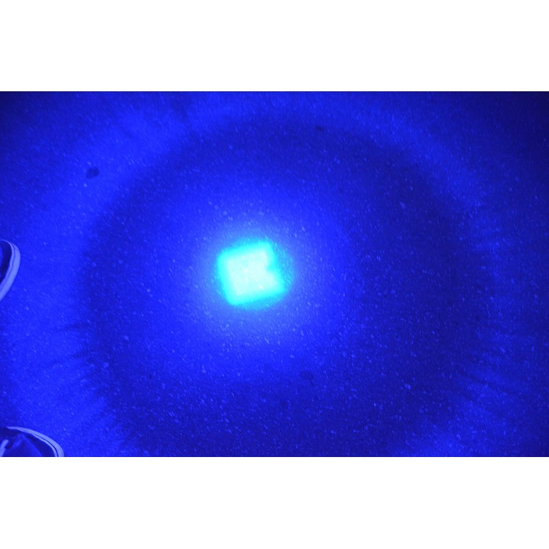 WAYLLSHINE Scalable Blue LED Flashlight, 3 Modes, Long Range Blue