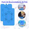 EURI | Pack of 2 | Ice Packs for Portable