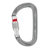 PETZL Am'D Screw Lock Carabiner Grey