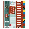 Exacompta 55245E Premium Folder Harmonica Made of Extra Strong Colorspan