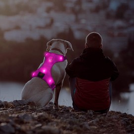 Domi LED Dog Harness, Easy Control Led Dog Vest Harness with Adjustible Belt, USB Rechargeable Dog Harness with Comfortable Padded for Your Medium Dogs(M, Pink)