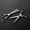 Titanium scissor blade general hairdressing scissors 1+hair thinning scissors 1 2PCS (WAD1B6C) / 티타늄시저블레이드 일반미용가위1+미용숱가위1 2PCS (WAD1B6C)