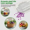 xcivi 5-Pack Produce Saver Refills Compatible with Frigidaire Pure Air