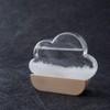 Heebie Jeebies Storm Glass Cloud