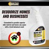 Instant Power Heavy Duty Urine Stain and Odor Remover, Stain