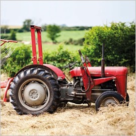 Abacus Cards General Male Blank/Birthday Card - Red Vintage Tractor - Eco-Friendly & Recyclable - From the BBC Countryfile Range