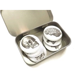 Anatomy 6 Magnets with tin Gift Set skull brain anatomical heart geekery goth doctor nurse