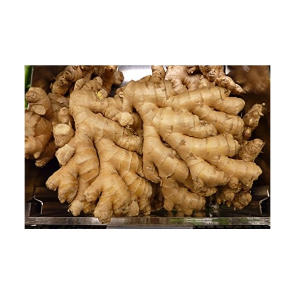 Organic fresh ginger from Peru (15)