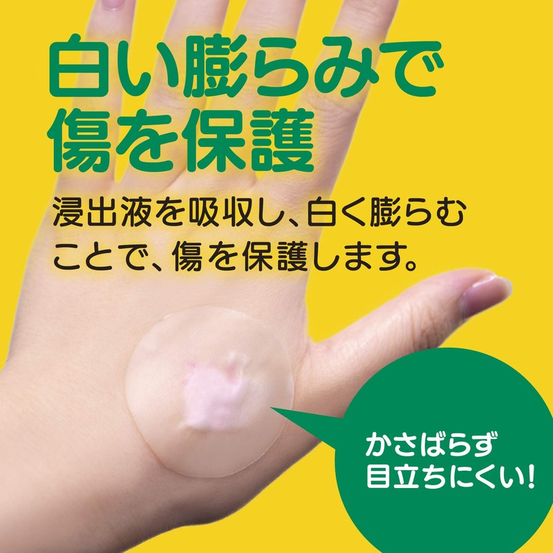 Teikoku Falma Care Human Base Hydro Roll 1 Roll