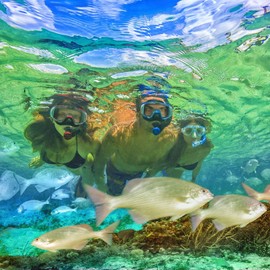 TUSA Sport Adult Black Series Visio Tri-Ex Mask, Dry Snorkel, and Fins Travel Set, Black/Metallic Red, Large