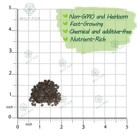 Premium Clitoria Ternatea Butterfly Pea Seeds - 110 Non-GMO Seeds, Blue Pea Vine for Garden, Herbal Tea, Medicinal Plant, Fast-Growing Climbing Flower for Home & Outdoor Gardening