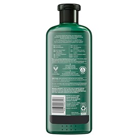 Herbal Essences Bio: renovar miel y vitamina B acondicionador, 13.5 onzas líquidas, 5.523 onzas líquidas