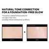 Round Lab Birch juice Moisturizing Tone-Up Sunscreen 50ml Protector solar