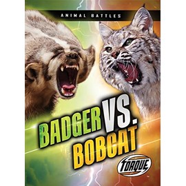 Badger vs. Bobcat