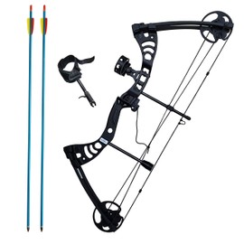 Southland Archery Supply SAS Scorpii 55 Lb 29" Compound Bow (Black Kit Package)