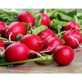 RAISE ME UP: Seeds Reb Ball Radish 25 Days Non GMO Heirloom