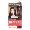 Elastine Salon de Color dark brown / 엘라스틴 살롱드컬러 짙은갈색