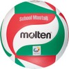 Molten SG-HY Volleyballs White / Green / Red 5