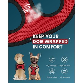 FAYOGOO Service Dog Vest for Small Breed - Lightweight Dog Harness with 6PCS Removable Patches - Puppy Harness and Leash Set for Walking,Training