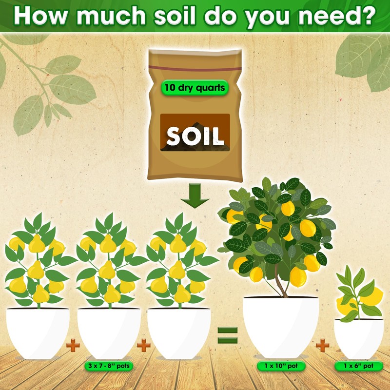 DUSPRO Recycle Citrus Tree Potting Soil Mix for Potted Lemon