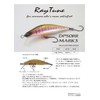 RayTune DP50RR Mark3 Semi-Handmade Lure (Yamame Orangeberry)