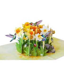 PQ Bees Daffodils with Hummingbirds Mothers Day Cards, 3D Birthday Cards for Women, 6x8in Pop Up Birthday Card for Mom, Wife, Her, Daughter, Sister, Grandma (Daffodils w Hummingbirds)