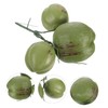 HOOTNEE 1 Bunch Artificial Coconut Fruits Photo Prop Hawaiian Coconut