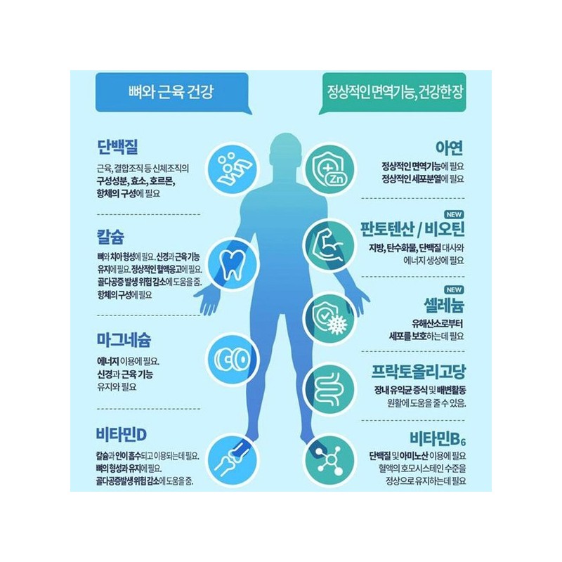 하이뮨 프로틴밸런스 단백질 보충제 6통+전용보틀 Highmoon Protein Balance Protein Supplement
