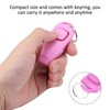 Zerodis Pet Trainer Keyring Aid Click Puppy and Cat Clicker