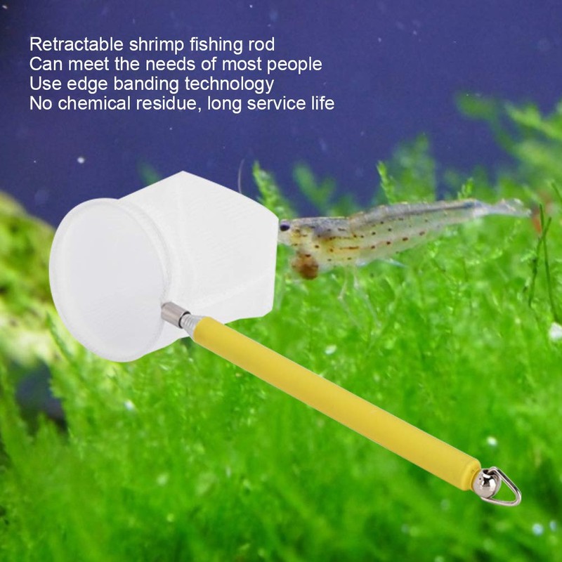 Small Aquarium Fish Net, Telescopic Pole Fish Shrimp Catch Skimming