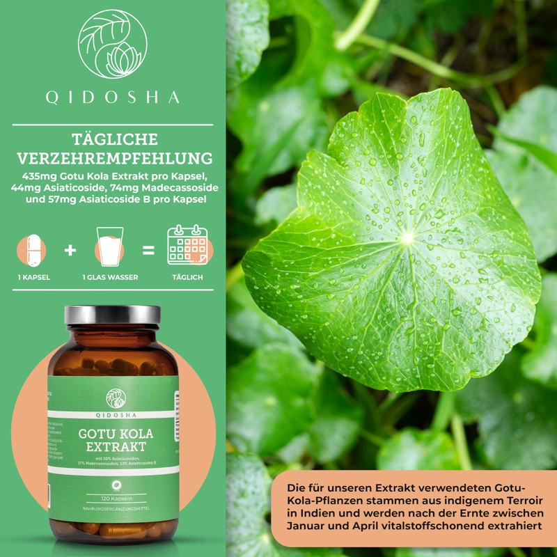QIDOSHA Gotu Kola 60:1 Extract, with 40% Total Asian Cosides