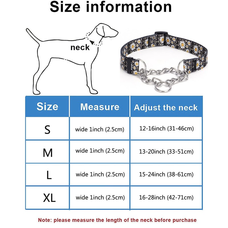 haoyueer Martingale Dog Collar - Stainless Steel Chain, No Pull