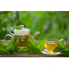 Health Embassy Catnip Herb Tea | Nepeta cataria L |
