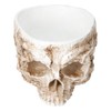 Innovative Resin Skull shaped Flower Pot Succulent Planter Holder Ornament