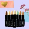 Corrector Maquillaje Bissu Quita Imperfecciones 8 Piezas