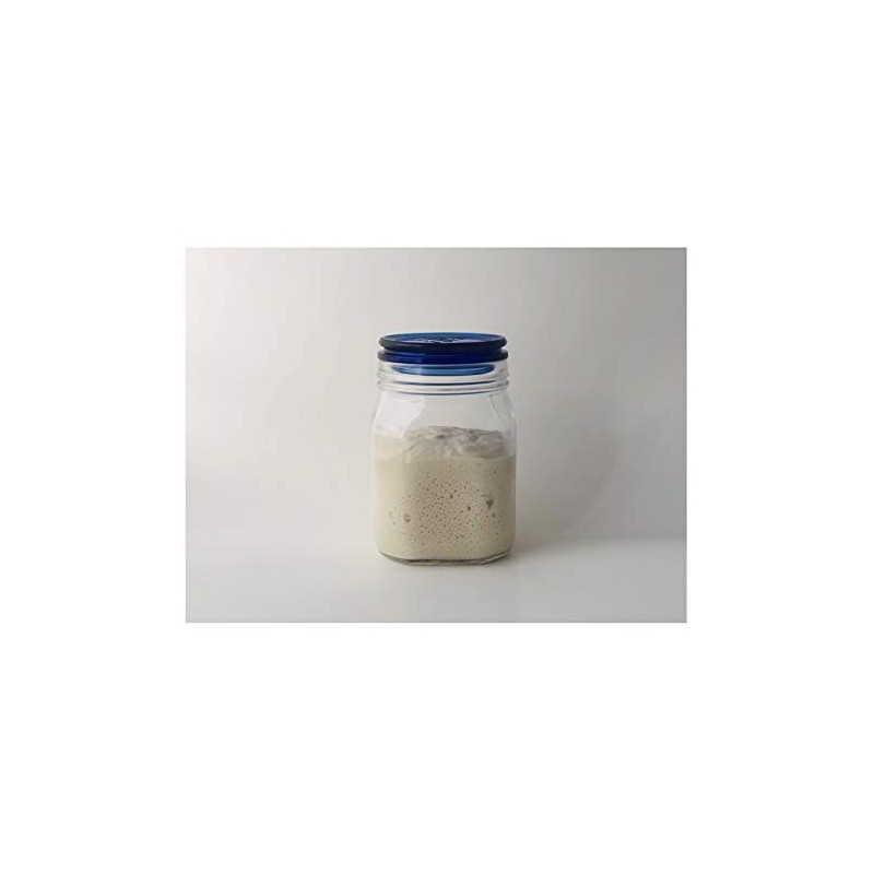 Danish Wheat Dehydrated Sourdough Starter Culture