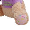 AB Tools Super Soft Plush Squeaky Birthday Bear Dog Puppy