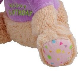 AB Tools Super Soft Plush Squeaky Birthday Bear Dog Puppy Happy Birthday Gift