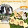 Hamiledyi 3 Pack Guinea Pig Foraging Toys Interactive Wooden Rabbit