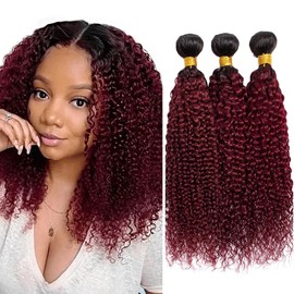 Burgundy Curly Bundles Human Hair Ombre Curly Wave Bundles Burgundy Bundles 18 20 22 Inch Brazilian Unprocessed Remy Hair Extensions 3 Bundles Hair Weave
