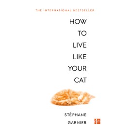 How To Live Like Your Cat