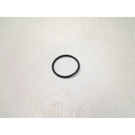 Polaris (1) New OEM Polaris 3610129 Neck Filler Insert O-Ring - Free Shipping in USA.