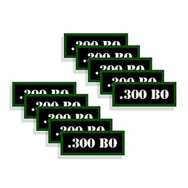 Speed Demon Hot Rod Shop Ammo Can Labels 300 BO Ammunition Decals 300 Blackout 10 Pack Adhesive Vinyl 3"x1.15"