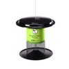 Birds Choice Bugs 'N Nuts Seed Cake | Wild Bird