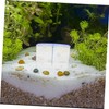 Sosoport Aquarium Fish Breeding Isolation Box Transparent Design Durable Construction