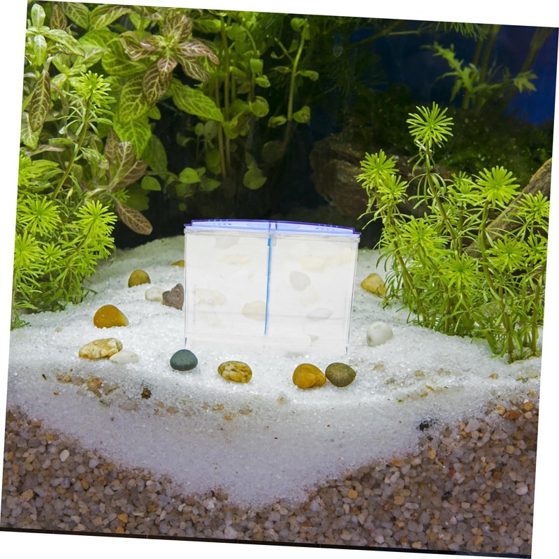 Sosoport Aquarium Fish Breeding Isolation Box Transparent Design Durable Construction