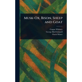 Musk-Ox, Bison, Sheep and Goat