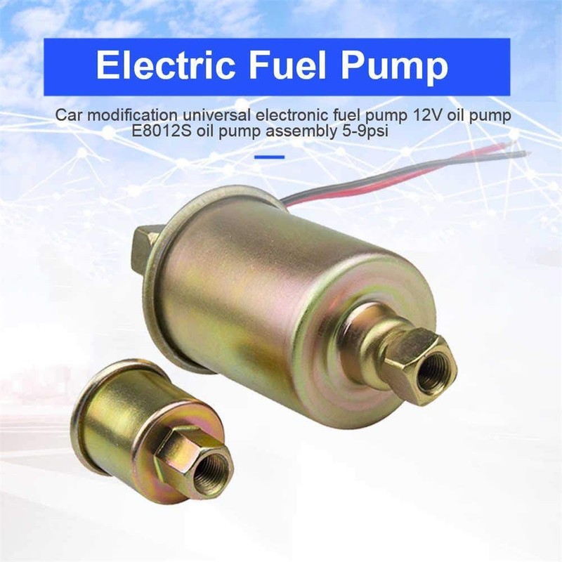 Riloer 12 V Universal Electric Fuel Pump 5-9 Psi E8012S