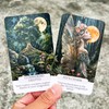 Fairy Whispering Oracle Card: Oracle Cards for Beginners, Nature Whispering