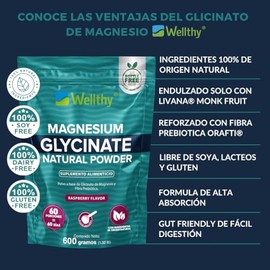 Wellthy Glicinato de Magnesio 600g Sabor Raspberry. 60 Porciones, Equivalente a 500mg de Magnesio por Porción, Reforzado con Fibra Prebiótica Orafti®,